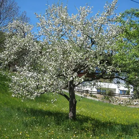 Gaestehaus Rettenbacher * Fulpmes