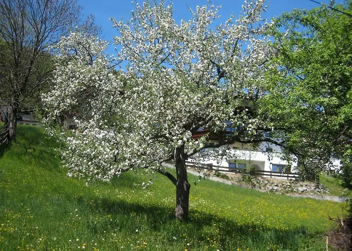 Gaestehaus Rettenbacher * Fulpmes